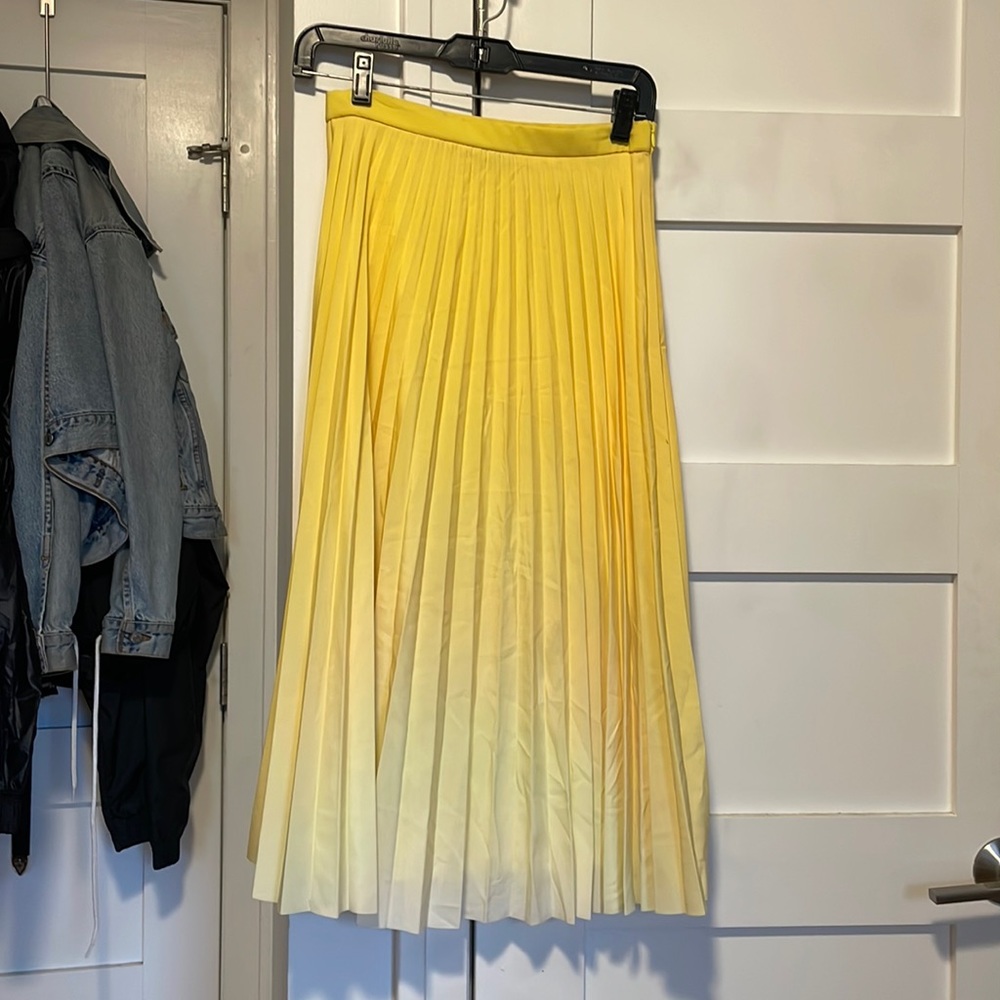Zara ombré midi skirt